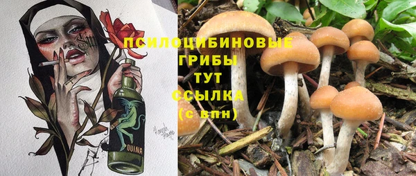 каннабис Няндома
