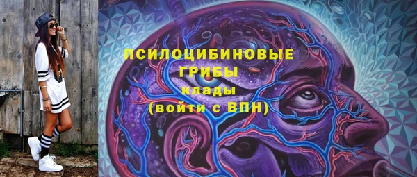 винт Алексин