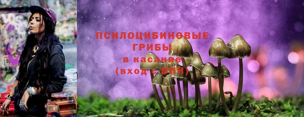 стаф Алексеевка