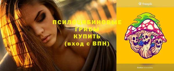 винт Алексин