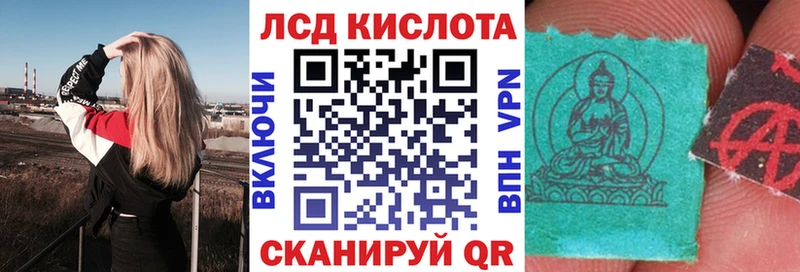 где можно купить   Шацк  Марки N-bome 1,5мг 
