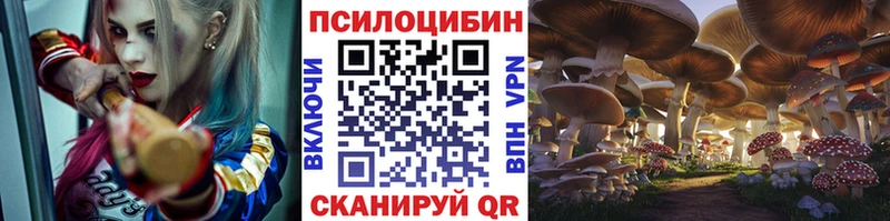 kraken ТОР  где продают наркотики  Шацк  Галлюциногенные грибы мухоморы 